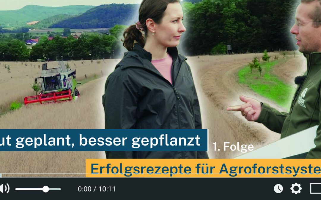 AGROFORST KOMPAKT